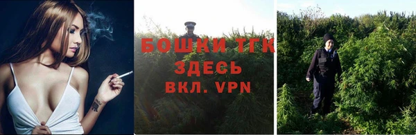 ПСИЛОЦИБИНОВЫЕ ГРИБЫ Заводоуковск