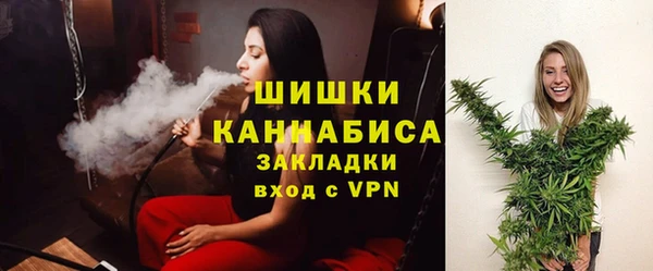 ПСИЛОЦИБИНОВЫЕ ГРИБЫ Заводоуковск