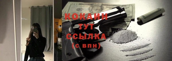ПСИЛОЦИБИНОВЫЕ ГРИБЫ Заводоуковск