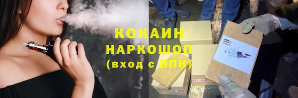 ПСИЛОЦИБИНОВЫЕ ГРИБЫ Заводоуковск