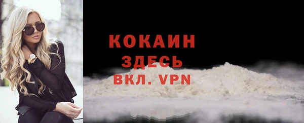 ПСИЛОЦИБИНОВЫЕ ГРИБЫ Заводоуковск