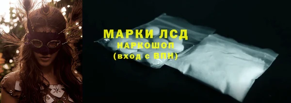 гашик Зеленокумск