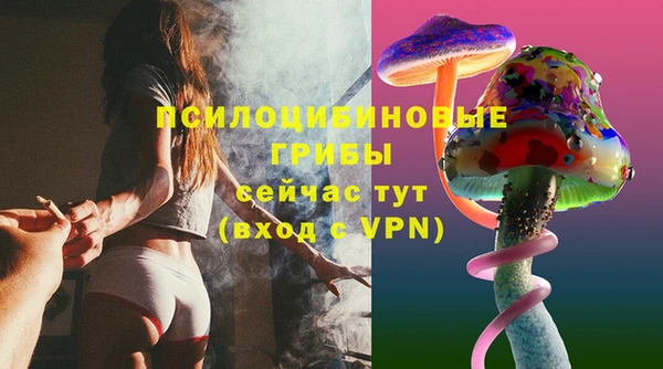 PSILOCYBIN Заволжье