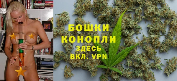 PSILOCYBIN Заволжье